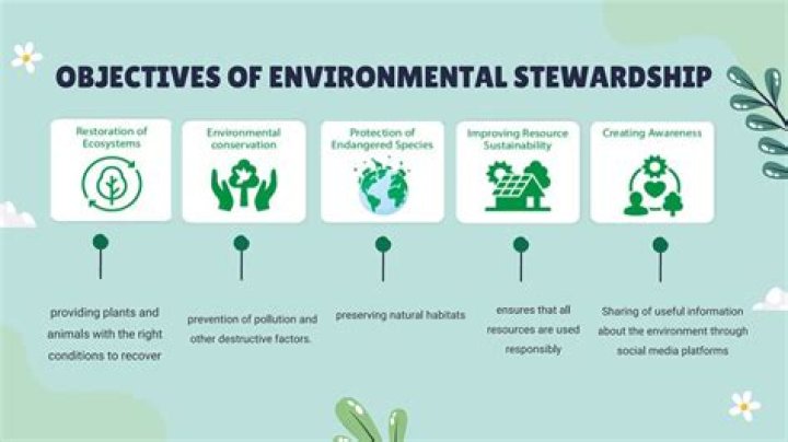 Environmental Stewardship And Sustainable Development