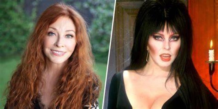 How old is Elvira net worth? Celebrity.fm 1 Official Stars