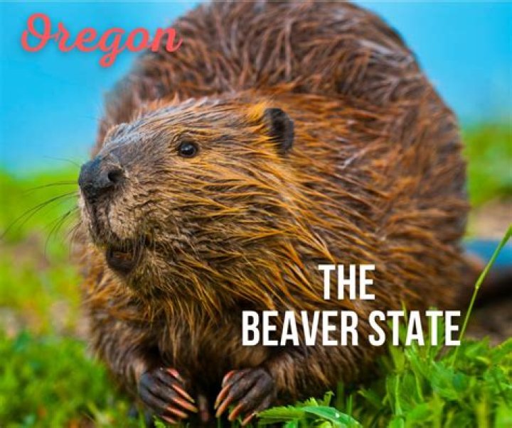 State Nickname Beaver State State